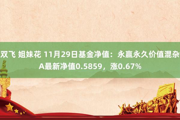 双飞 姐妹花 11月29日基金净值：永赢永久价值混杂A最新净值0.5859，涨0.67%