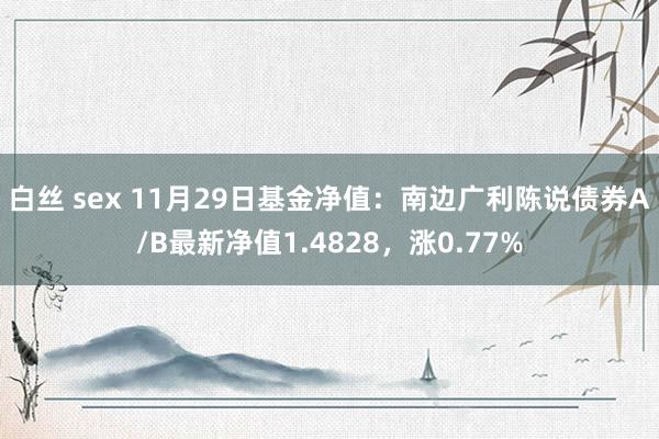 白丝 sex 11月29日基金净值：南边广利陈说债券A/B最新净值1.4828，涨0.77%