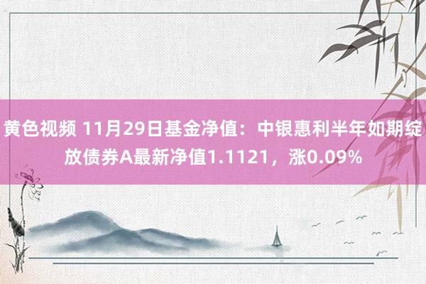 黄色视频 11月29日基金净值：中银惠利半年如期绽放债券A最新净值1.1121，涨0.09%