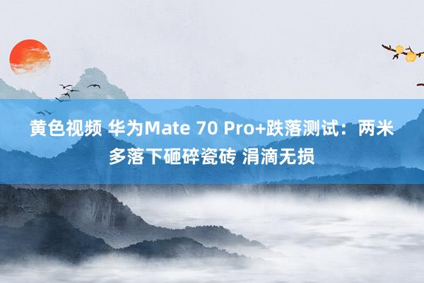 黄色视频 华为Mate 70 Pro+跌落测试：两米多落下砸碎瓷砖 涓滴无损