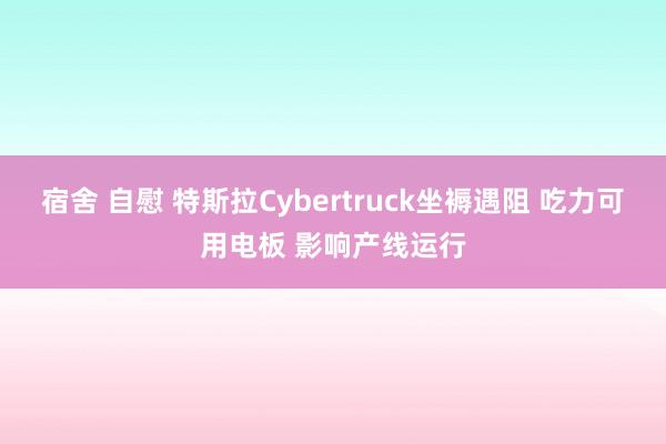 宿舍 自慰 特斯拉Cybertruck坐褥遇阻 吃力可用电板 影响产线运行