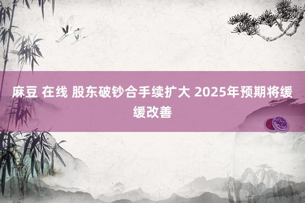 麻豆 在线 股东破钞合手续扩大 2025年预期将缓缓改善