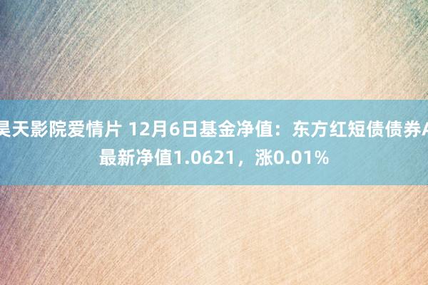 昊天影院爱情片 12月6日基金净值：东方红短债债券A最新净值1.0621，涨0.01%