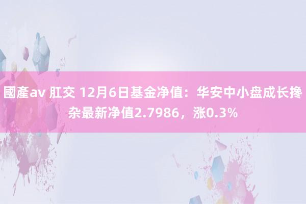 國產av 肛交 12月6日基金净值：华安中小盘成长搀杂最新净值2.7986，涨0.3%