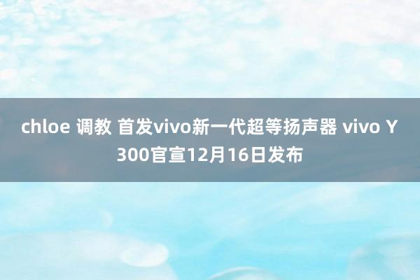 chloe 调教 首发vivo新一代超等扬声器 vivo Y300官宣12月16日发布