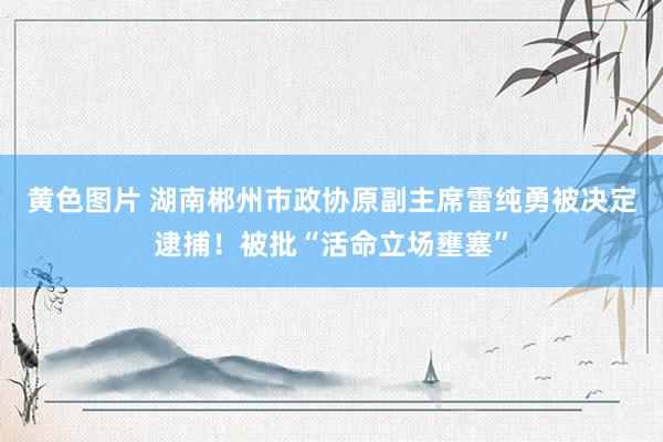 黄色图片 湖南郴州市政协原副主席雷纯勇被决定逮捕！被批“活命立场壅塞”