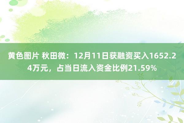 黄色图片 秋田微：12月11日获融资买入1652.24万元，占当日流入资金比例21.59%