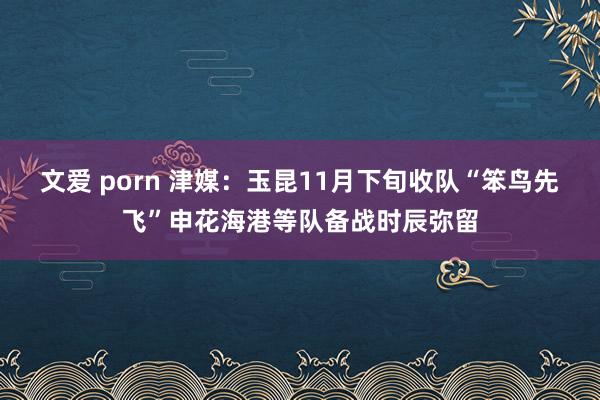 文爱 porn 津媒：玉昆11月下旬收队“笨鸟先飞”申花海港等队备战时辰弥留