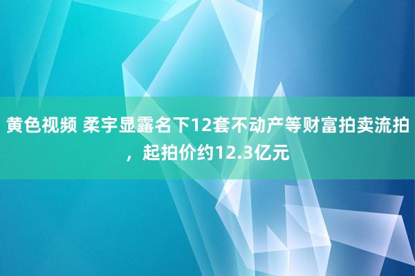 黄色视频 柔宇显露名下12套不动产等财富拍卖流拍，起拍价约12.3亿元