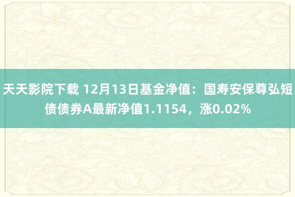 天天影院下载 12月13日基金净值：国寿安保尊弘短债债券A最新净值1.1154，涨0.02%