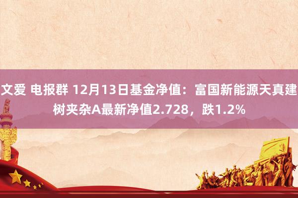 文爱 电报群 12月13日基金净值：富国新能源天真建树夹杂A最新净值2.728，跌1.2%