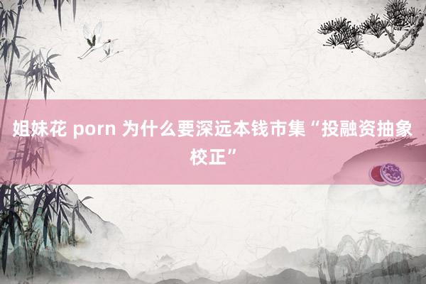 姐妹花 porn 为什么要深远本钱市集“投融资抽象校正”