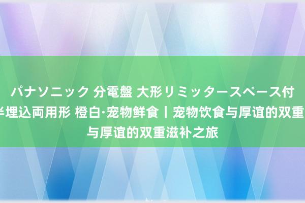 パナソニック 分電盤 大形リミッタースペース付 露出・半埋込両用形 橙白·宠物鲜食丨宠物饮食与厚谊的双重滋补之旅