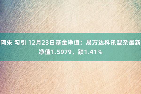 阿朱 勾引 12月23日基金净值：易方达科讯混杂最新净值1.5979，跌1.41%