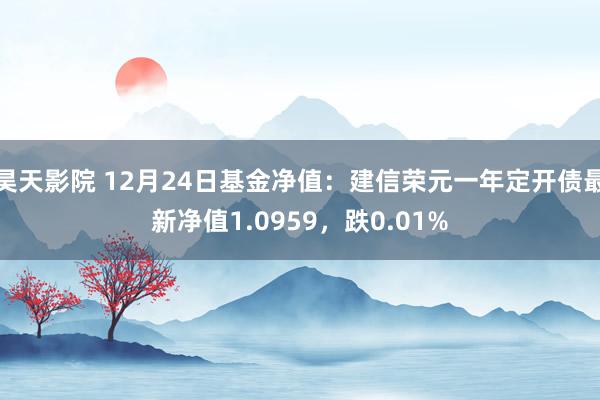 昊天影院 12月24日基金净值：建信荣元一年定开债最新净值1.0959，跌0.01%