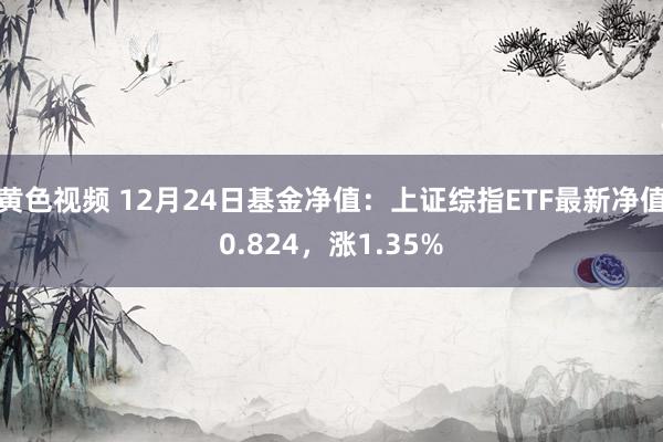 黄色视频 12月24日基金净值：上证综指ETF最新净值0.824，涨1.35%