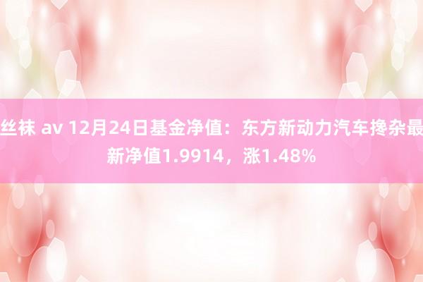 丝袜 av 12月24日基金净值：东方新动力汽车搀杂最新净值1.9914，涨1.48%