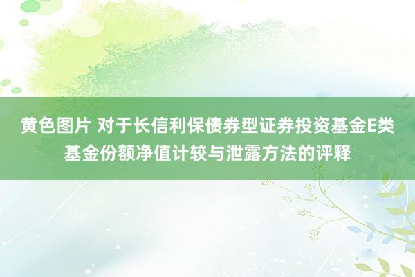 黄色图片 对于长信利保债券型证券投资基金E类基金份额净值计较与泄露方法的评释