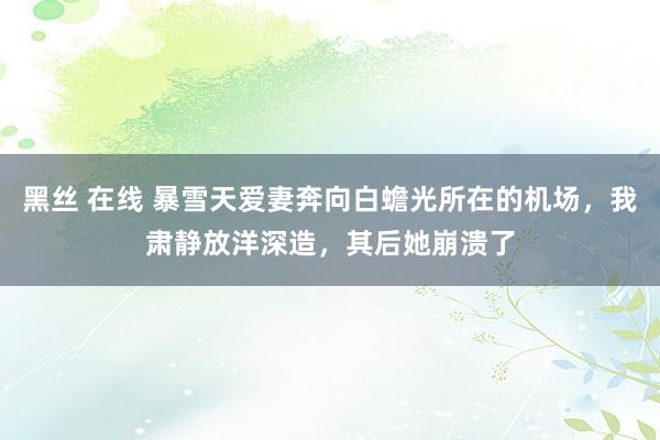 黑丝 在线 暴雪天爱妻奔向白蟾光所在的机场，我肃静放洋深造，其后她崩溃了