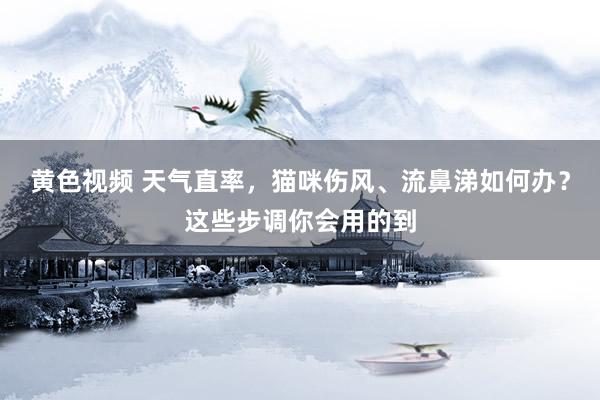 黄色视频 天气直率，猫咪伤风、流鼻涕如何办？这些步调你会用的到