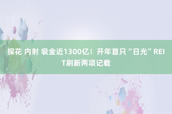 探花 内射 吸金近1300亿！开年首只“日光”REIT刷新两项记载