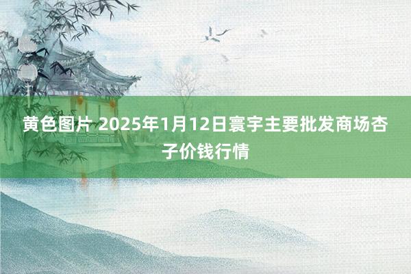 黄色图片 2025年1月12日寰宇主要批发商场杏子价钱行情