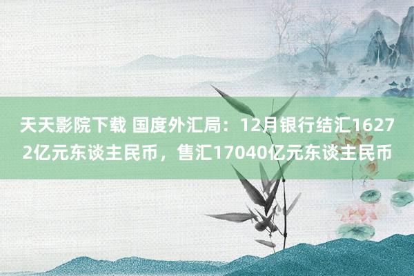 天天影院下载 国度外汇局：12月银行结汇16272亿元东谈主民币，售汇17040亿元东谈主民币