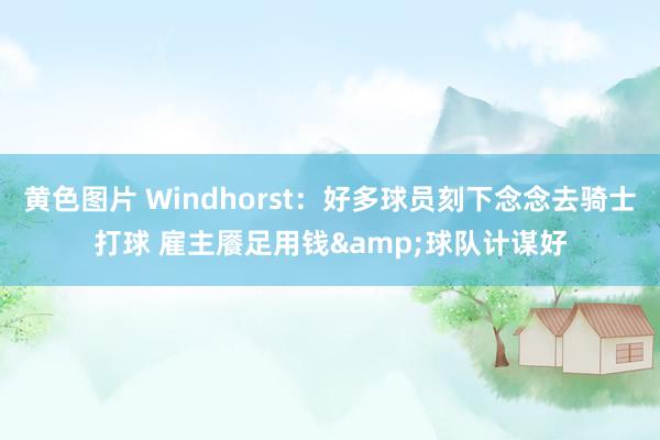 黄色图片 Windhorst：好多球员刻下念念去骑士打球 雇主餍足用钱&球队计谋好