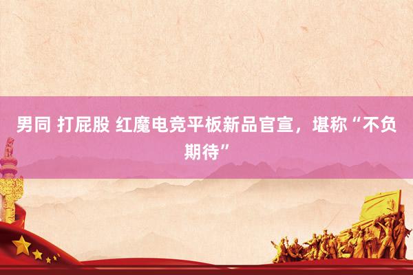 男同 打屁股 红魔电竞平板新品官宣，堪称“不负期待”